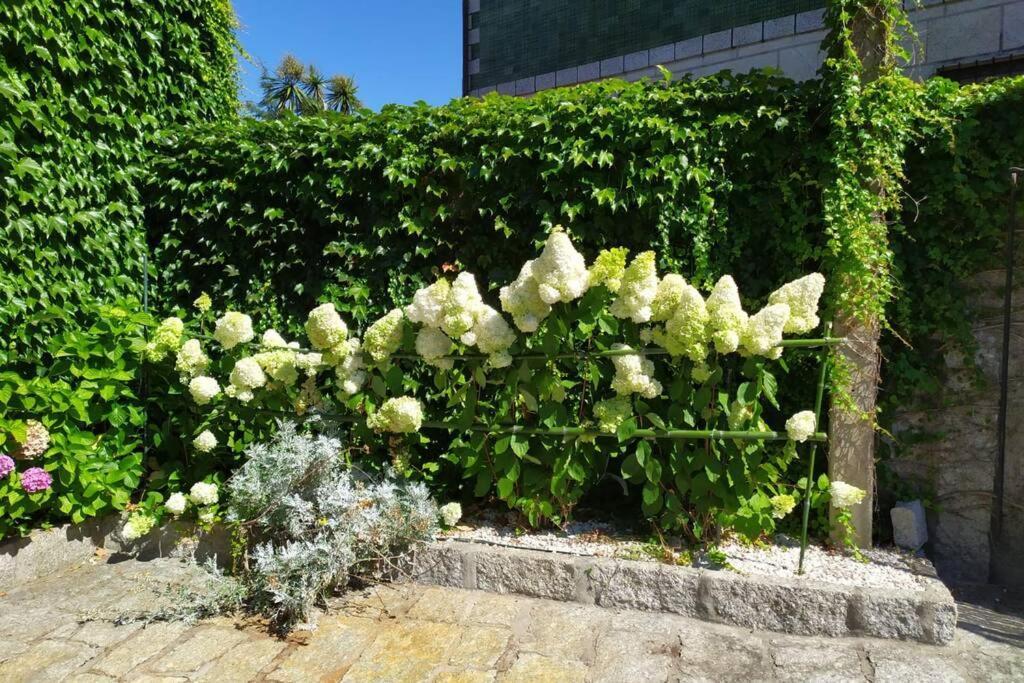 O Apartamento Do Xanza, Ideal Para Parejas Adaptado Movilidad Reducida Meis Exterior foto
