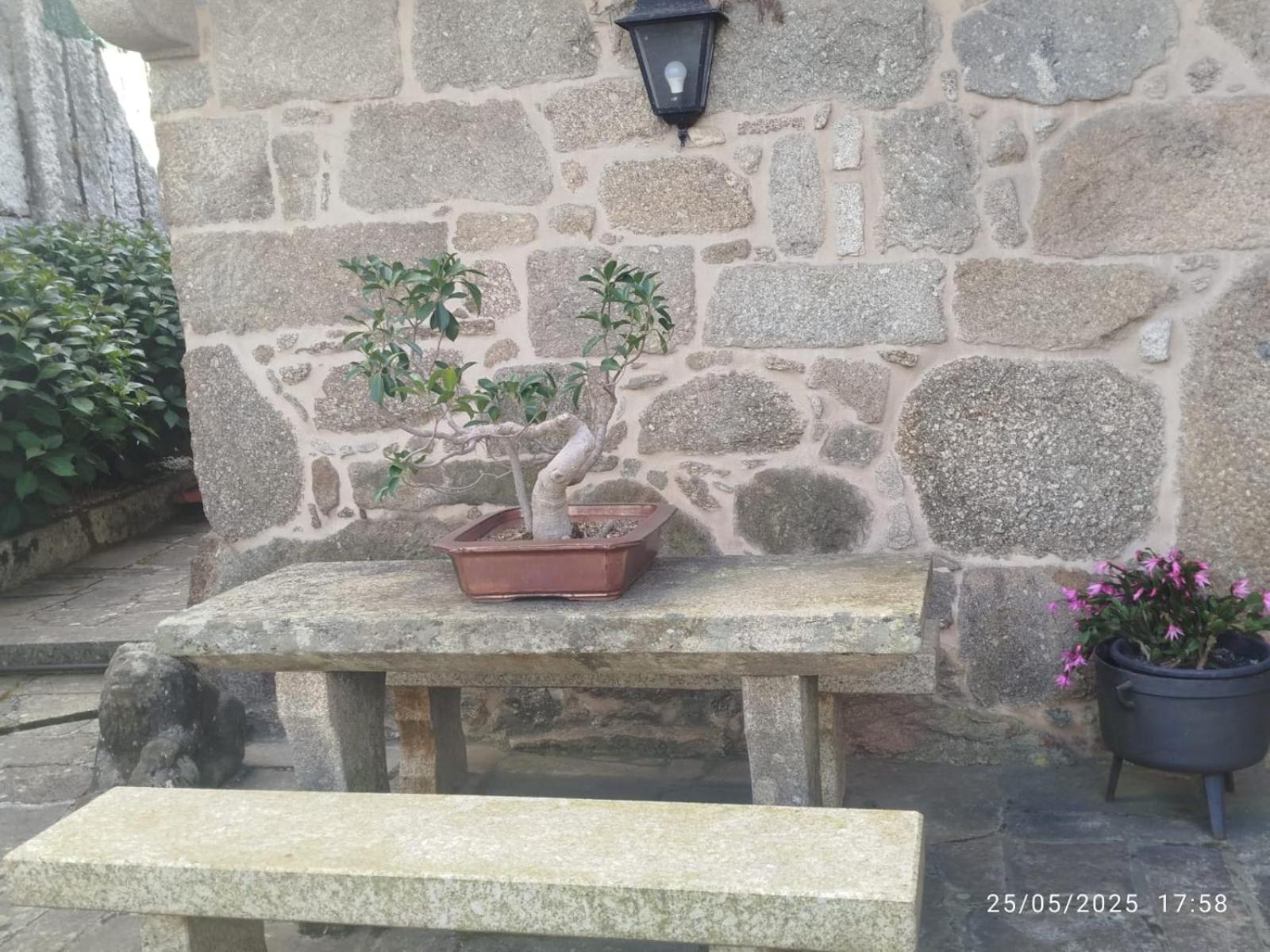 O Apartamento Do Xanza, Ideal Para Parejas Adaptado Movilidad Reducida Meis Exterior foto